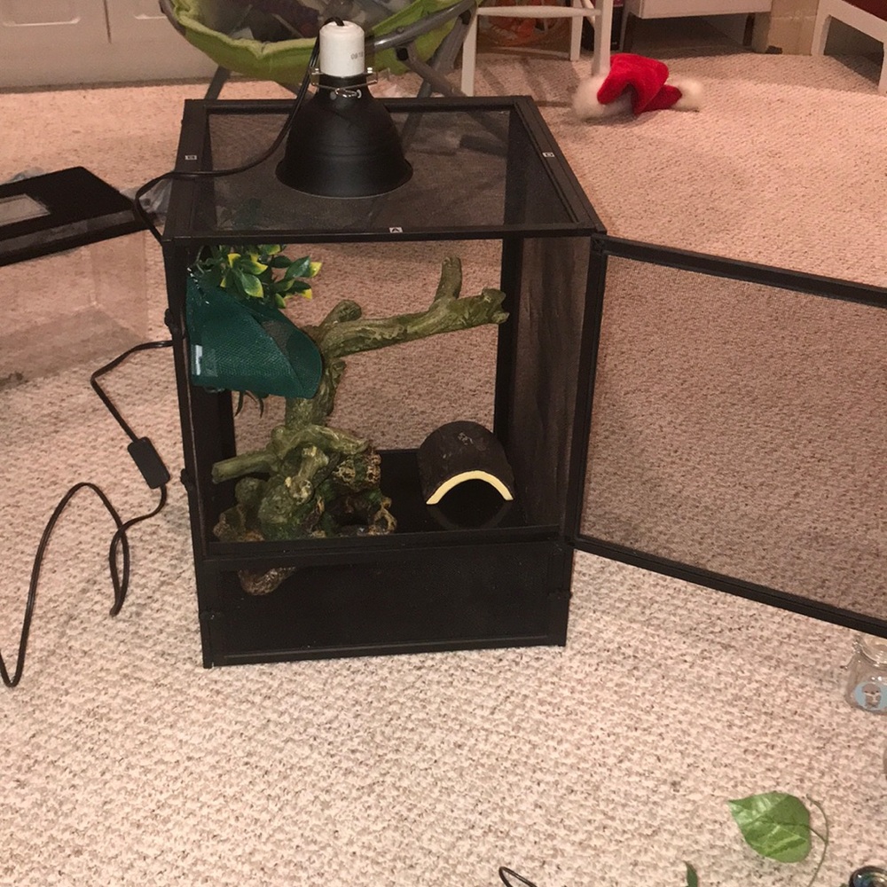 reptile cage